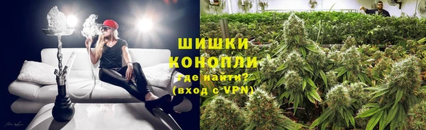 спиды Алзамай