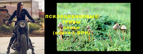 метадон Армянск