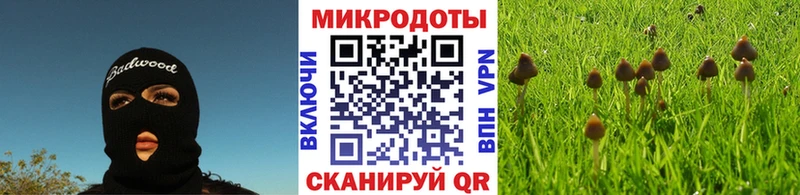 Купить Борисоглебск Галлюциногенные грибы MAGIC MUSHROOMS