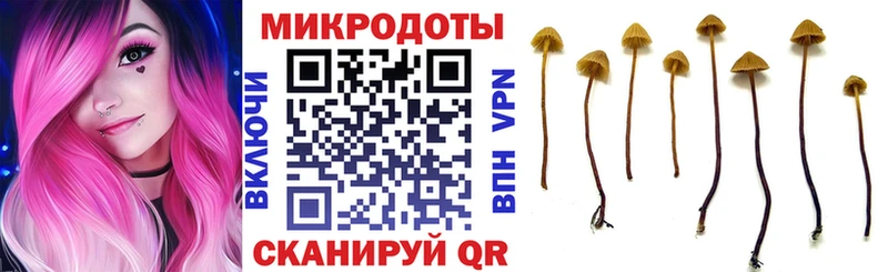 Псилоцибиновые грибы Cubensis Борисоглебск